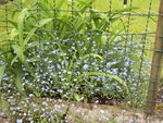 Photo 022.jpg