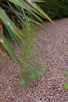 P1000738-1.jpg