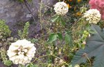 2012-08-12 19.10.16.jpg