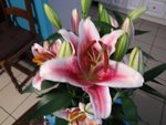 DSCF0765.JPG