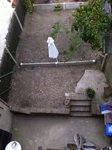 IMG_0854.jpg