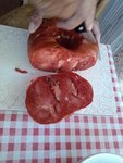 IMG_20120812_182254.jpg