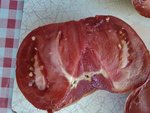 IMG_20120812_182305.jpg