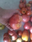 IMG_20120814_183552.jpg