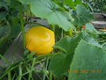 DSCN2601 2.jpg