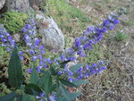 DSC01314.JPG