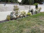 DSC00137.JPG