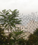 DSC07310-001.JPG