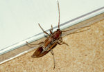 DSC00148.jpg