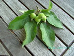 BILD6385.JPG