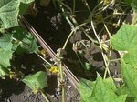 2012-08-19 10.48.12.jpg