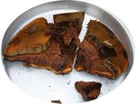 Le champignon reconstitué avant de le bruler