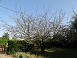 DSC01350.JPG