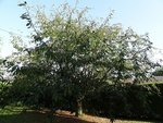 DSC01353.JPG