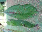 DSC01355.JPG