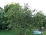 DSC01356.JPG