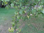 DSC01357.JPG