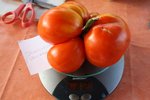 Dégustation prévue à midi.