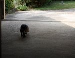 Il est vraiment très triste de quitter son squatt.