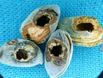 4 amandes.jpg