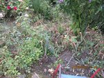 2012-08-22 cata x.jpg
