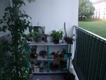 le balcon