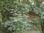PICT5389.JPG