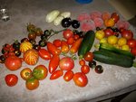 IMGP0898.JPG