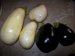 aubergines240812.JPG