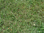 DSC03044.JPG