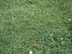 DSC03046.JPG