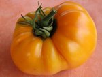 Amana orange.JPG