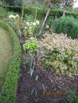 2012-08-25 Aprèsx.jpg