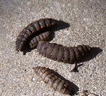 DSCN8420.JPG