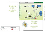 Plan du verger (avec les distances)