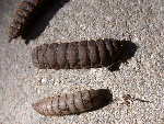 DSCN8422.JPG