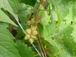 25 aout 2012 004.JPG