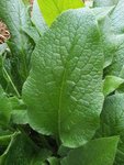 20120826_104316.jpg