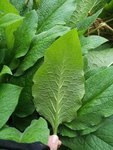 20120826_104333.jpg