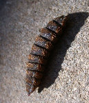 DSCN8421.JPG