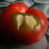 dscf34841.jpg