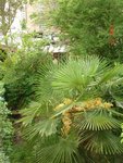 Photo_119.jpg