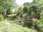 Mare 082012-01D.jpg