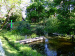 Mare 052009-01DS.jpg