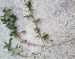 Photo03.jpg