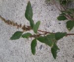 Photo04.jpg