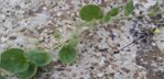 plant 1.22.jpg