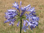 blog juillet 08 4.JPG