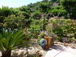 P1000373-1.jpg