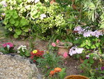 P1000372-1.jpg